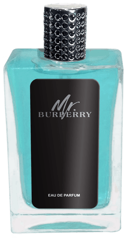 Mr. Burberry 100 mlindex