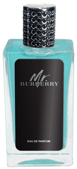 Mr. Burberry 100 mlindex