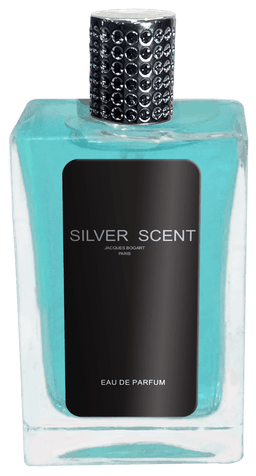 Silver Scent 100 mlindex