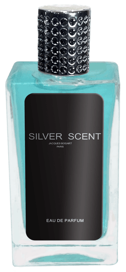 Silver Scent 100 mlindex