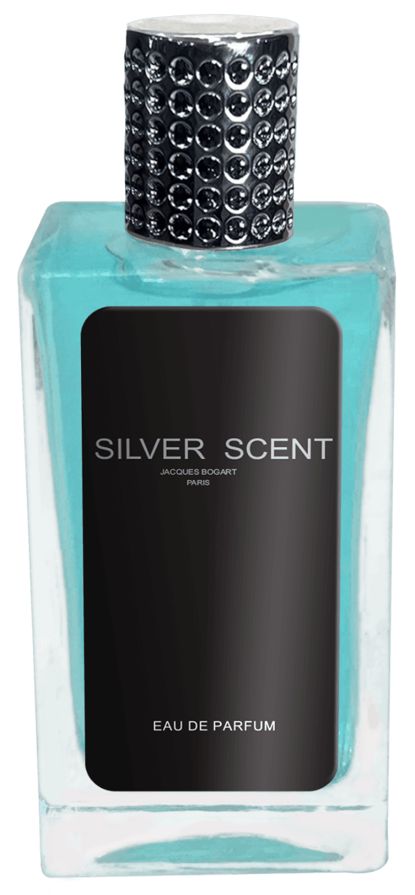 Silver Scent 50 mlindex