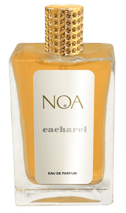 Noa Cacharel  100 mlindex