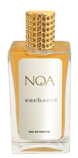 Noa Cacharel  100 mlindex